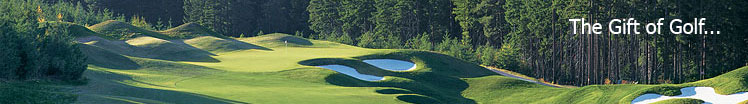 Generic Golf Image